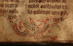 Wyvern depicted in a 14th Century Welsh manuscript.